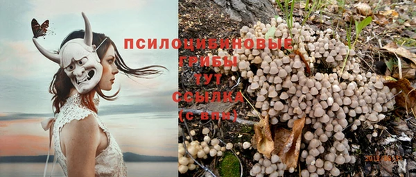 спайс Дмитриев
