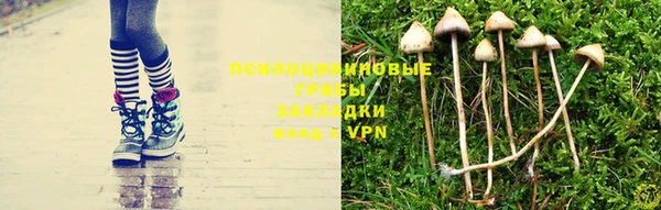 спайс Дмитриев