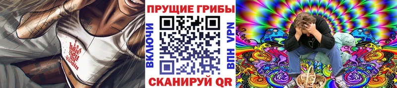 Купить закладки  Иннополис  Псилоцибиновые грибы Magic Shrooms 